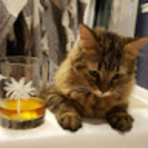 Meet your Posher, Anya